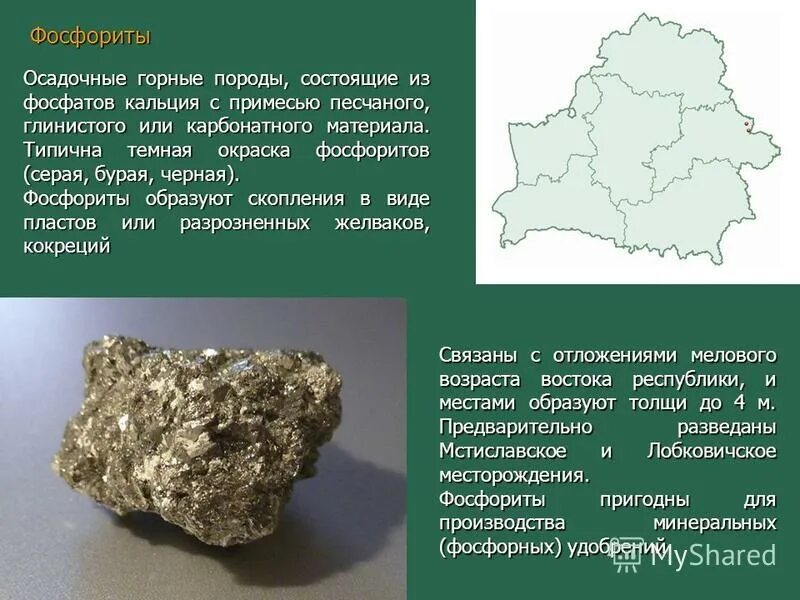 Какими полезными ископаемыми полезна центральная россия. Полезные ископаемые Белоруссии. Фосфориты полезные ископаемые. Осадочные фосфориты. Фосфорит происхождение горной породы.