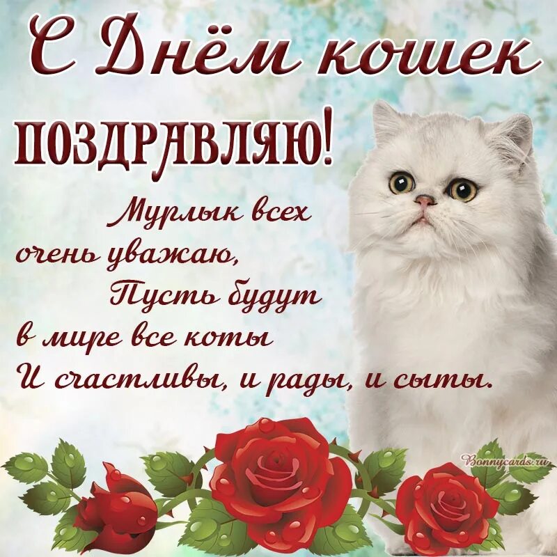 Всемирный день кошек поздравления. Всемирный день кошек. Всемирный день кошек открытки.