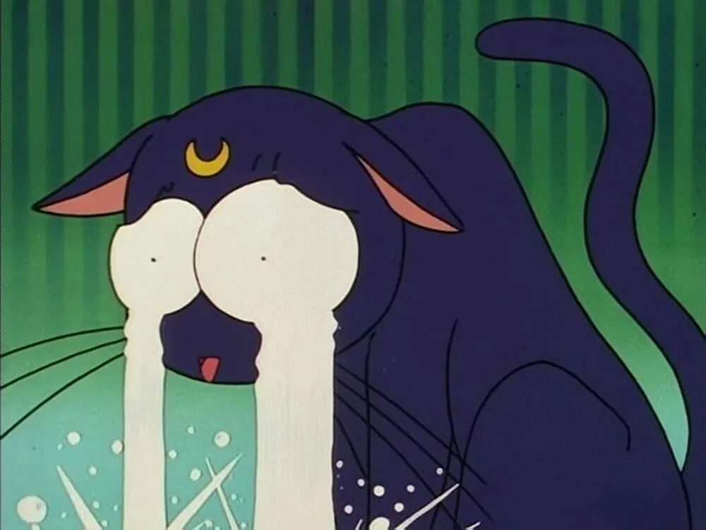 Sad cat animation