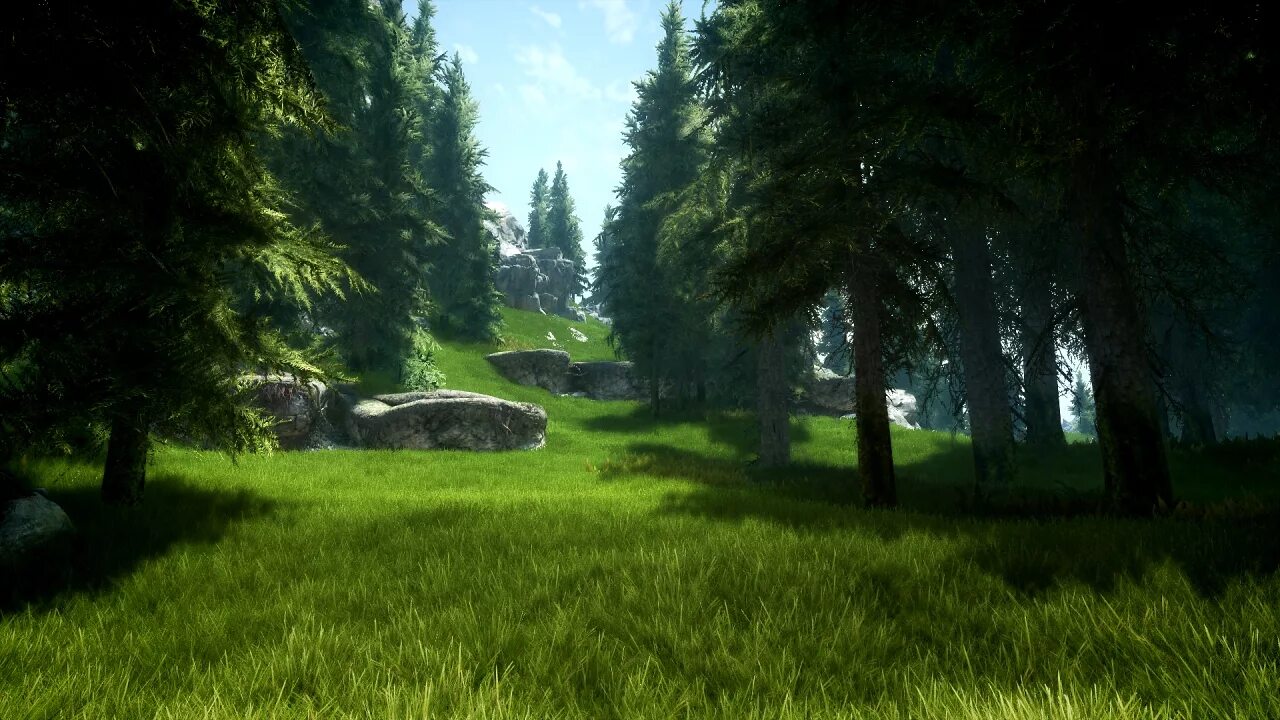 Skyrim сборка модов на графику