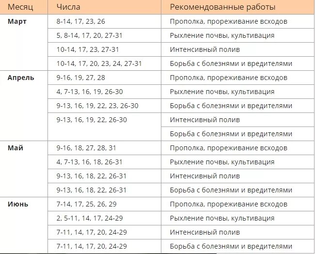 Благоприятные дни для посадки огурцов на рассаду. Посадочные дни для огурцов. Благоприятные дни для высадки рассады огурцов. Благоприятные дни для огурцов.