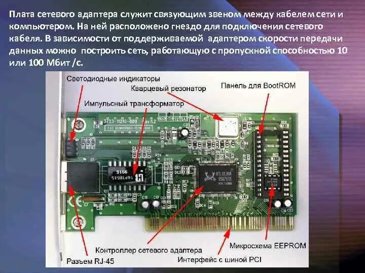 Компоненты локальной сети сетевая плата. Компоненты сетевого адаптера. Основные элементы сетевой платы. Конструкция сетеавого ад.