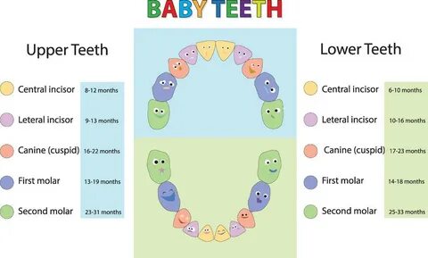 Floors have teeth