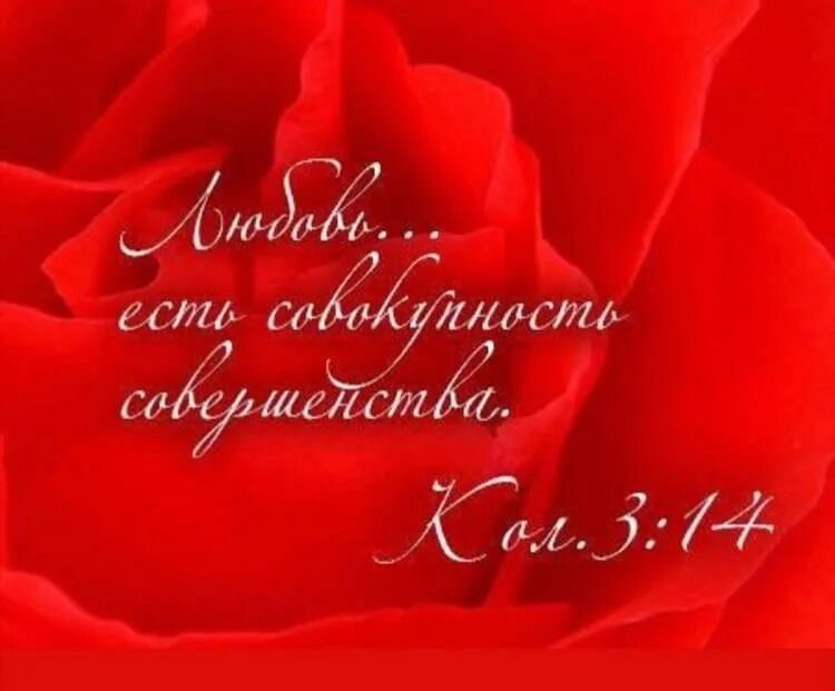 Любовь есть совокупность совершенства. Да владычествует в сердцах ваших мир божий. Облекитесь в любовь которая есть совокупность совершенства. Облекитесь в любовь которая есть совокупность совершенства. Более же всего облекитесь в любовь.