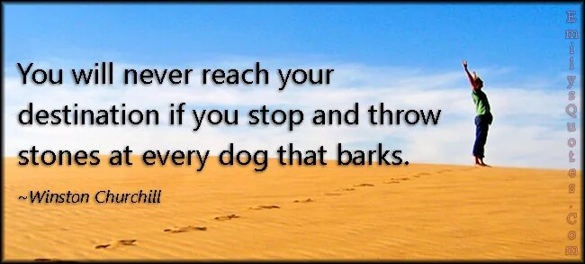 Where is your destination. You will never reach your destination if you stop and throw stones at every dog that barks..