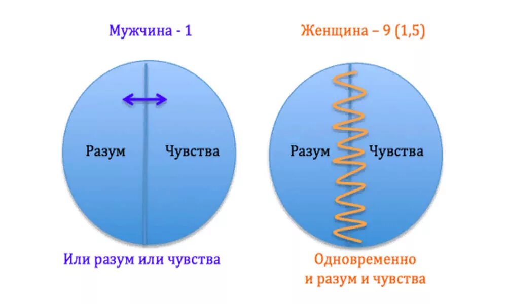 Социальные различия мужчины и женщины. Различия мужчин и женщин. Чем отличается разум и ум. Разница эмоций мужчины и женщины. Эмоции женщины и мужчины отличия.