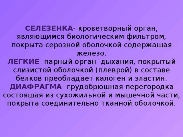 Кроветворные органы. Селезёнка как кроветворный орган кратко. Что служит основным органом биологической фильтрации.