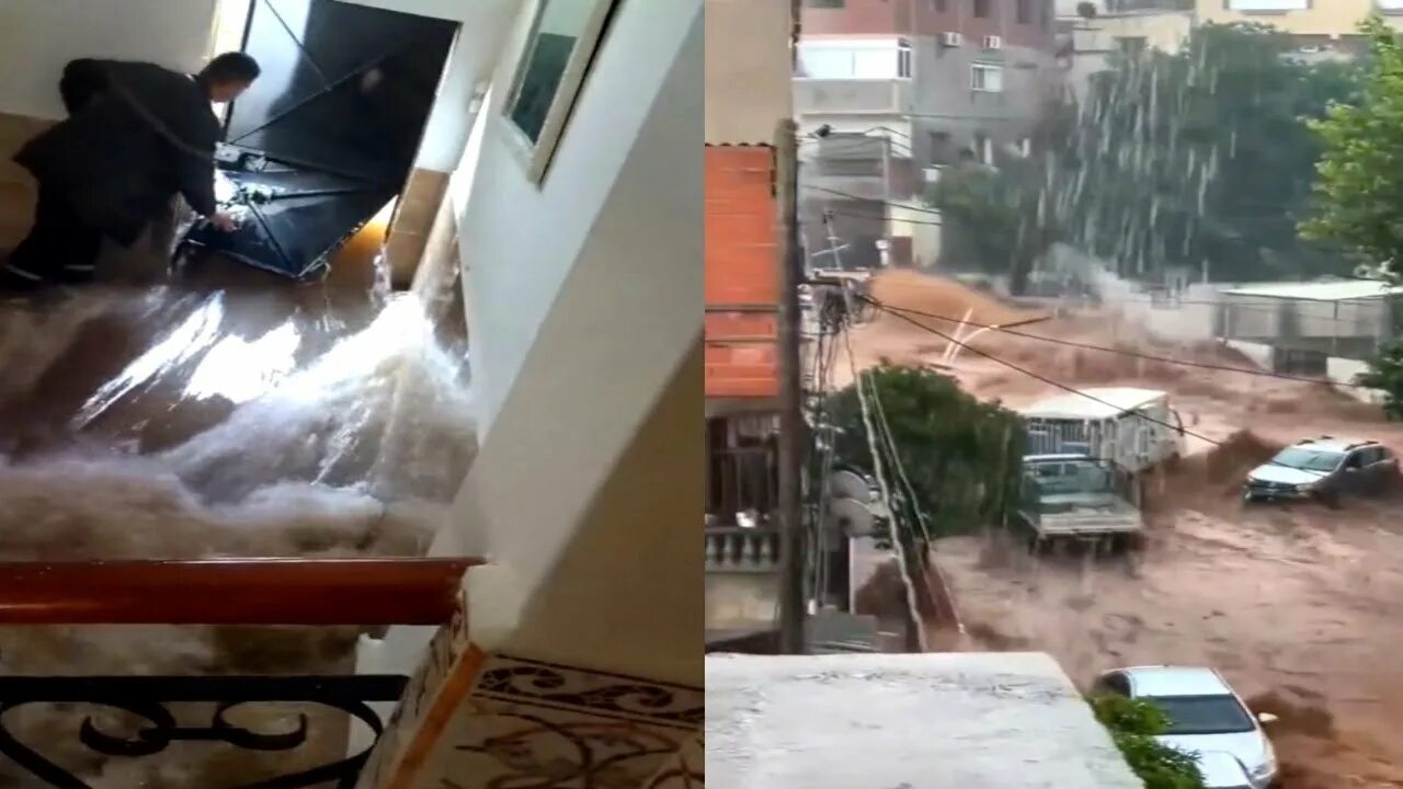 После потопа after the flood