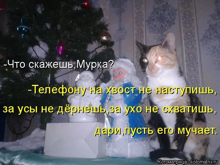 В ус не дул значение. В ус не дует. в ус не дуть картинка. что значит в ус не дуть. в ус не дул.