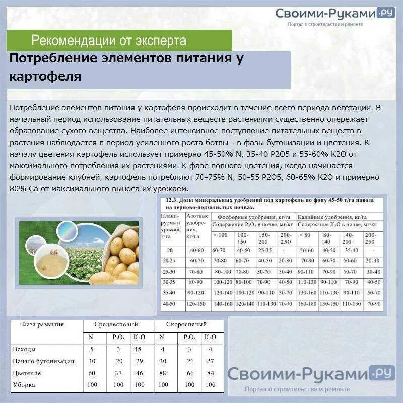 Какое удобрение для картофеля хорошего урожая. Схема внесения минеральных удобрений под картофель. нормы внесения удобрений для картофеля. норма удобрений для картофеля. нормы минеральных удобрений на 1 га для картофеля.