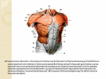 Қыздармен дөрекі жыныстық қатынас
