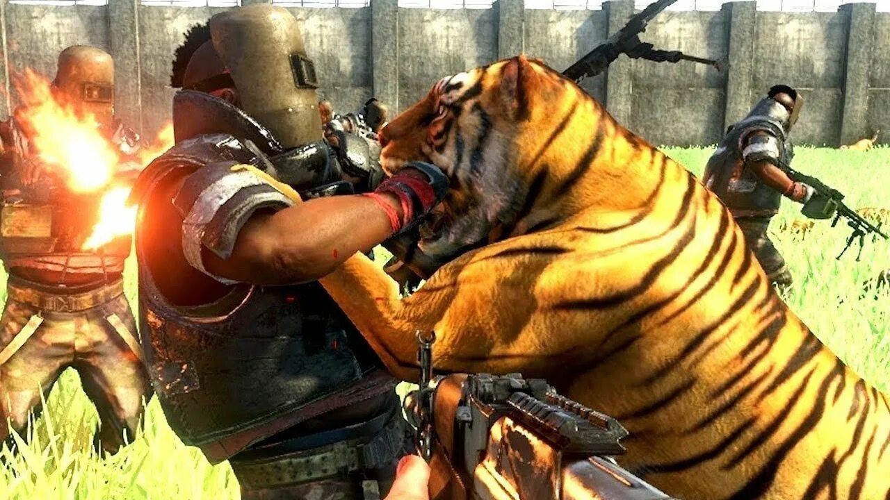 Фар край 3 животные. Far cry 3 тигры. Фар край 3 тигр. Far cry 3 тигры. Фар край 3 тигр.