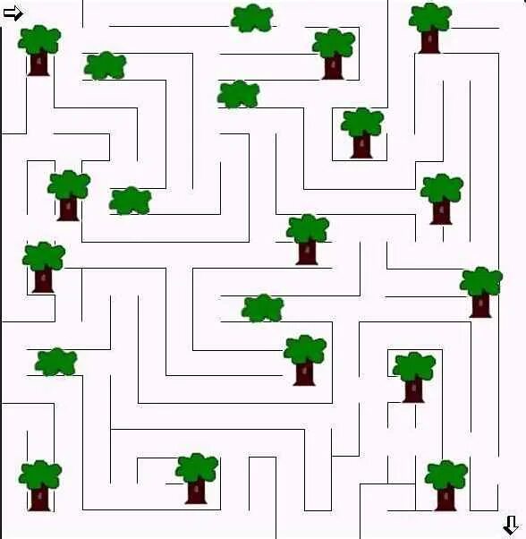Forest maze