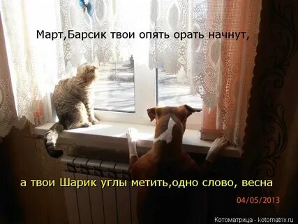 Опять твоя