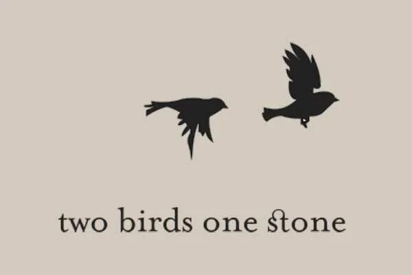 Kill birds. Two Birds, one Stone. To Kill 2 Birds with one Stone. Kill two Birds. Kill two Birds with one Stone idiom.