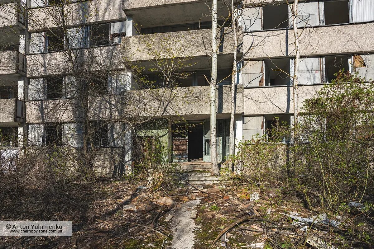 Чернобыль припять сейчас 2025. Припять город призрак. припять 2025. чернобыль город припять 2025. припять зона отчуждения 2025.
