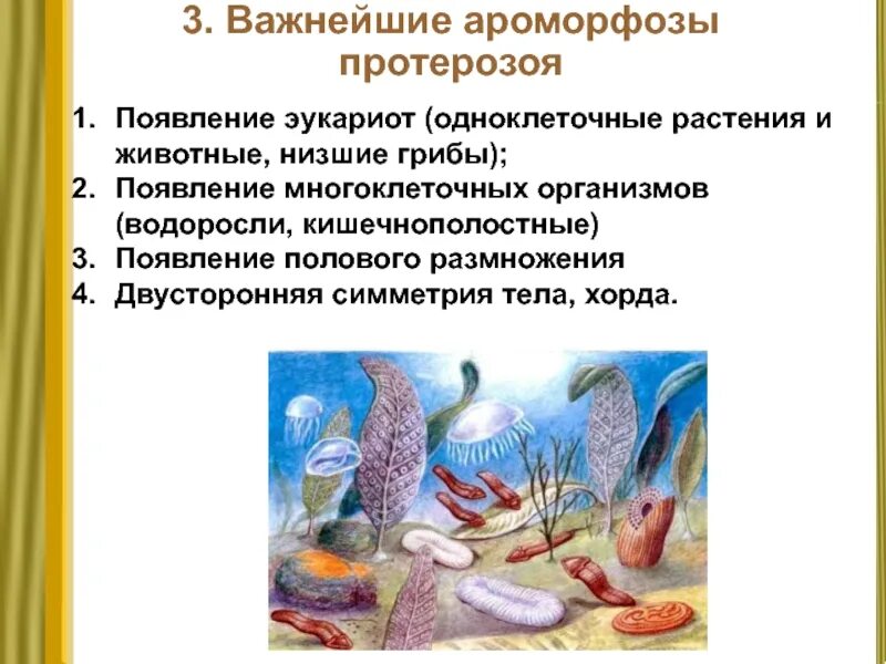 Последовательность появления ароморфозов в эволюции животных. Эра протерозой основные ароморфозы. протерозой ароморфозы животных. ароморфозы протерозойской эры. протерозой ароморфозы растений.