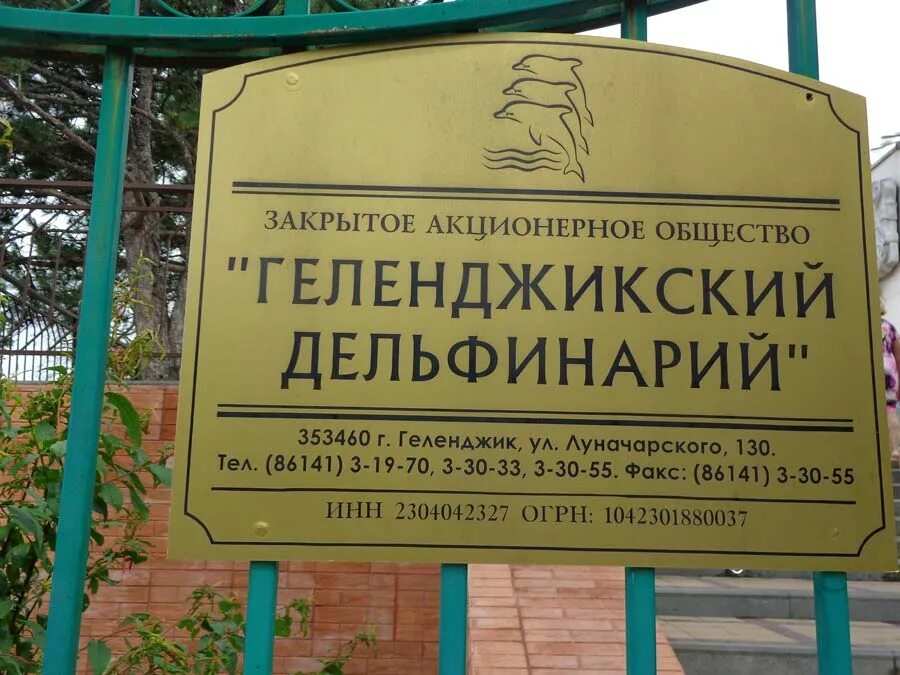 Расписание дельфинария в геленджике. Расписание дельфинария в геленджике. Геленджикский дельфинарий расписание. Дельфинариум в геленджике. Расписание дельфинария.