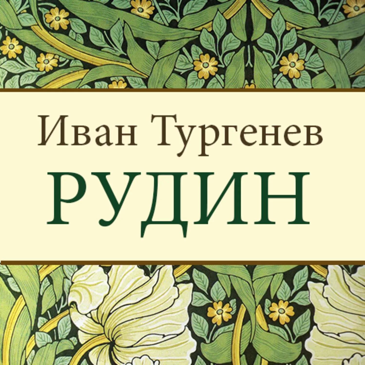 Тургенев Рудин книга.