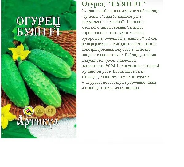 Огурцы буян фото описание Посадочный Материал Огурец Буян купить по цене от 45 руб в интернет-магазинах