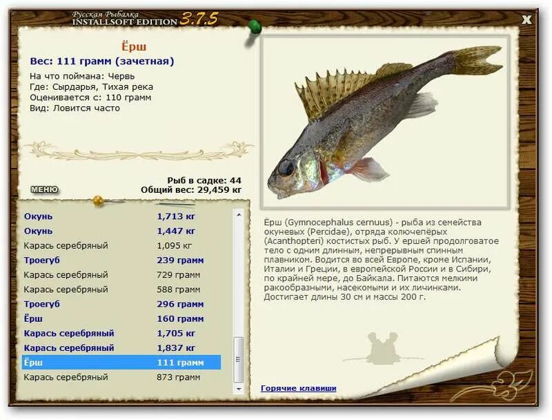 Русская рыбалка на что ловится окунь. Хищная рыба окуневых. Семейство окуневых рыб список. Большеротый окунь рр3. Русская рыбалка 3.