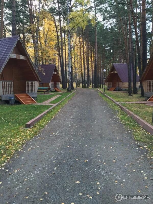 Турбаза журавли кемерово. Турбаза журавли кемерово. Турбаза бегемот елыкаево. Турбаза на берегу томи. Турбаза томь белогорск амурская область.