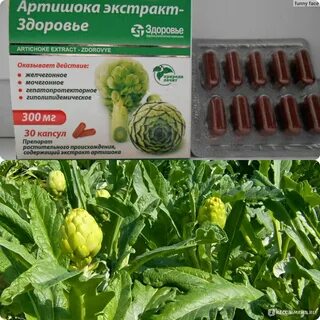 Артишоков экстракт аналоги
