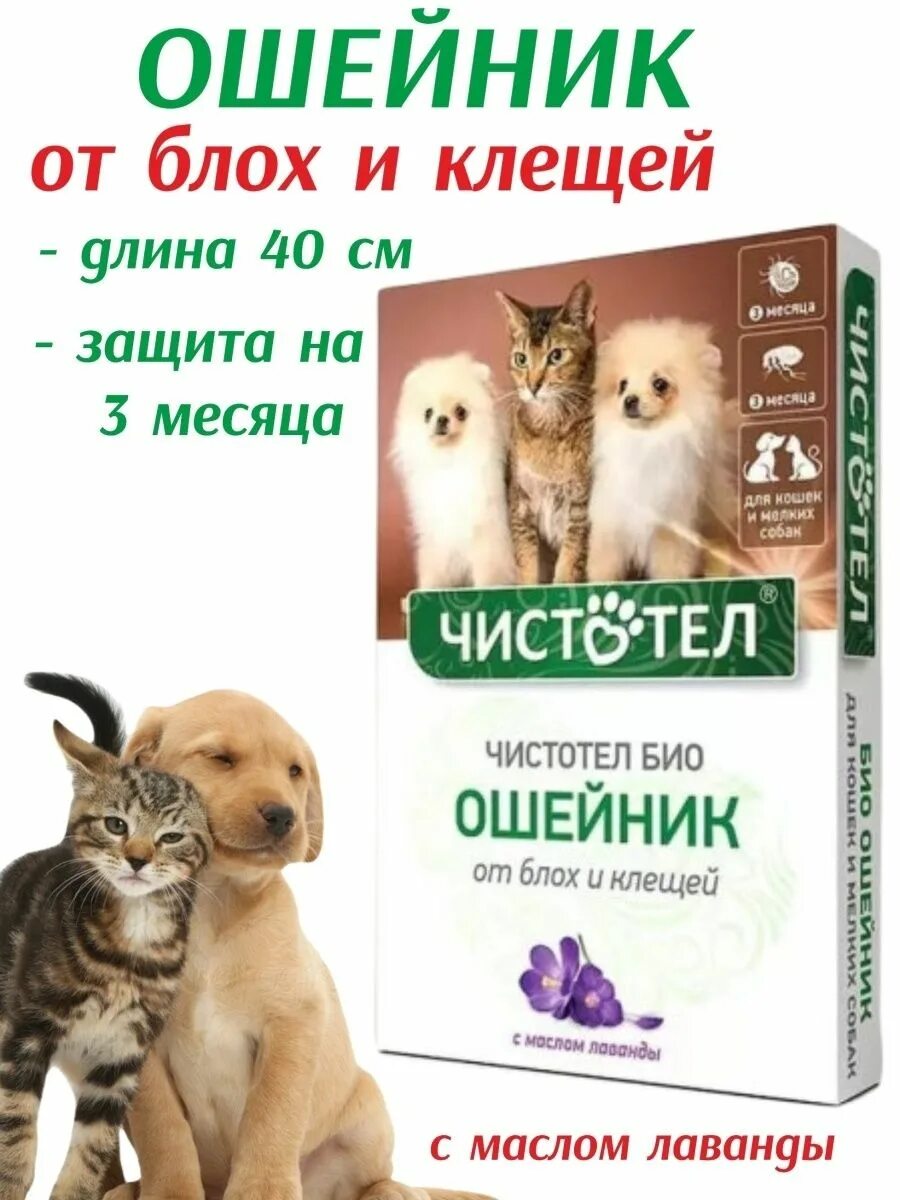 Ошейник от блох чистотел. Ошейник чистотел био для кошек. Био-ошейник для собак от блох. Чистотел ошейник для собак. Чистотел био капли от блох.