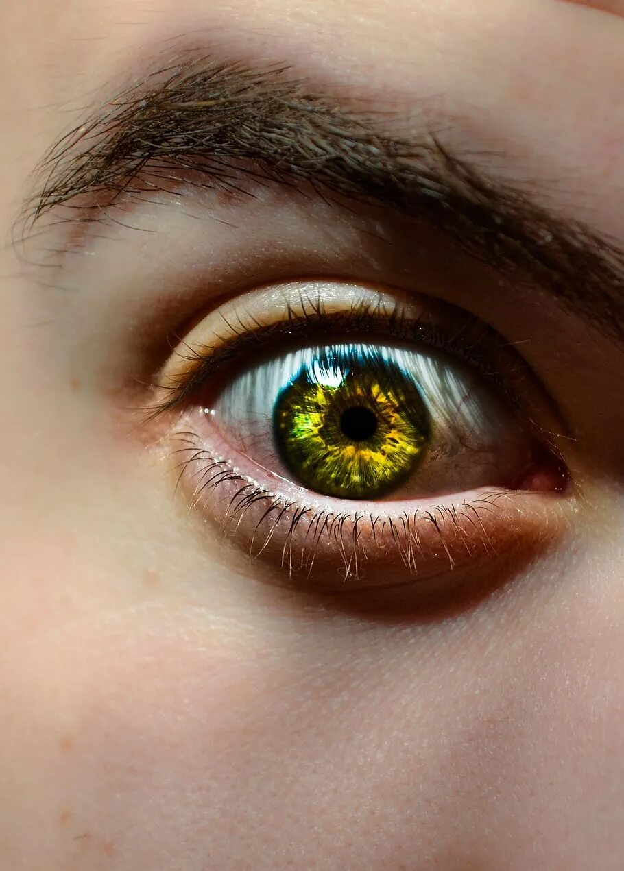 Желтый глаз 12. Желтые глаза. Жёлто-зелёный цвет глаз. Зелено янтарные глаза. Желто зеленые глаза.