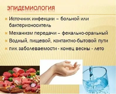 Источник кишечных инфекций гигтест