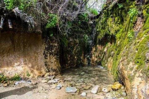 Интернетте Малибу эротикасына жылдам жол