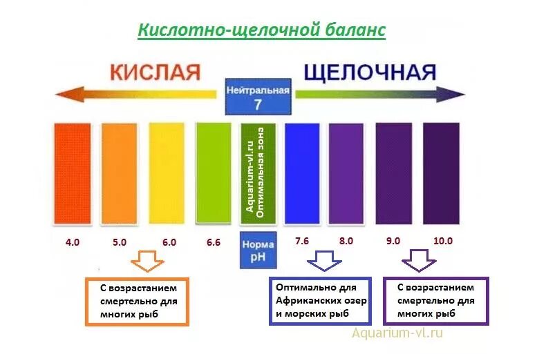 Кислотность в аквариуме. Кислотность воды PH норма. Уровень кислотности PH воды. - Водородный показатель (PH) норма. PH кислотность и щелочность воды.