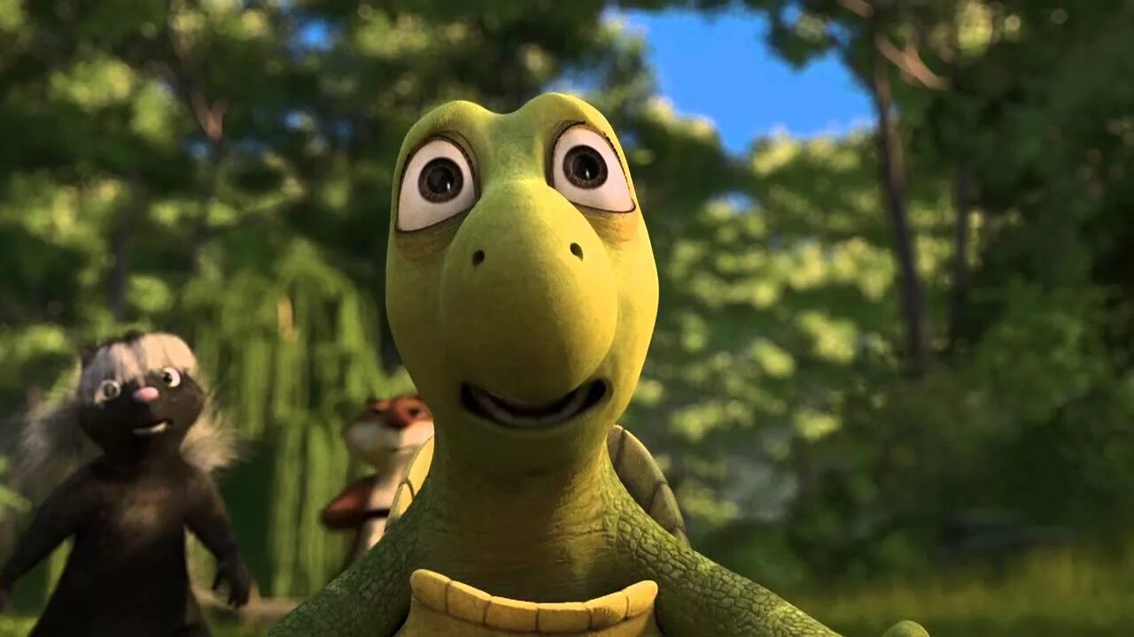 Черепаха белка. Черепаха белка