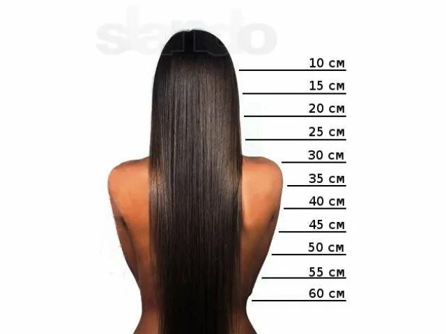 Длина волос в см таблица по длинам. Длина волос. Разметка длины волос. Волосы длинной 10 см. Длина волос по см.