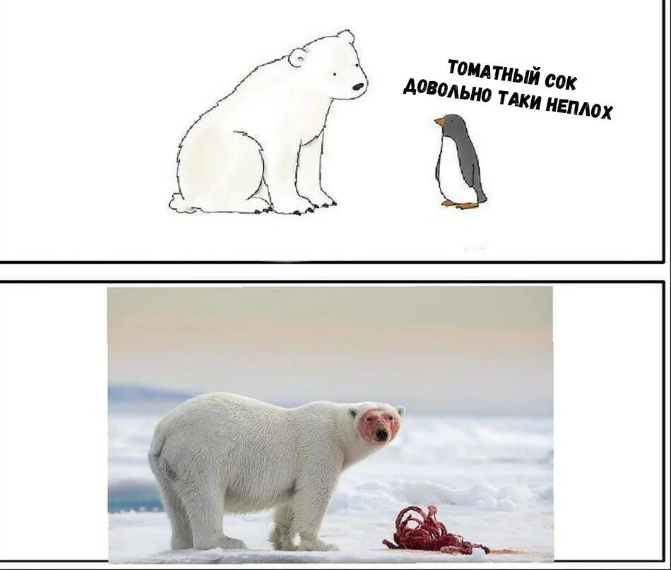 Довольно таки неплохо. Довольно таки неплохо