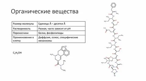 Органично это простыми словами
