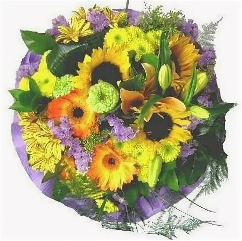 Букет из 101 розы. Букет роз огромный. 100 букетов. 100 букетов. Букет на сто лет картинка название.