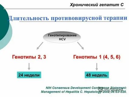 Генотип вируса гепатита b