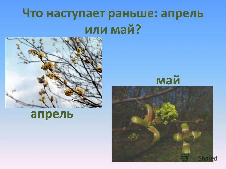 апрель месяц по счету. апрель какой месяц по счету. май какой месяц по счету. месяца по счету. сентябрь какой месяц по счету.