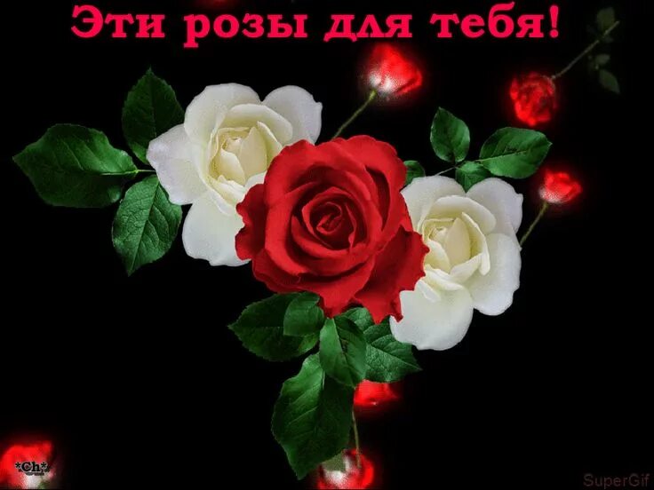 Открытки эти розы для тебя. Цветочки для тебя. Красивой женщине красивые цветы. Желтые розы. Того что эти розы в.