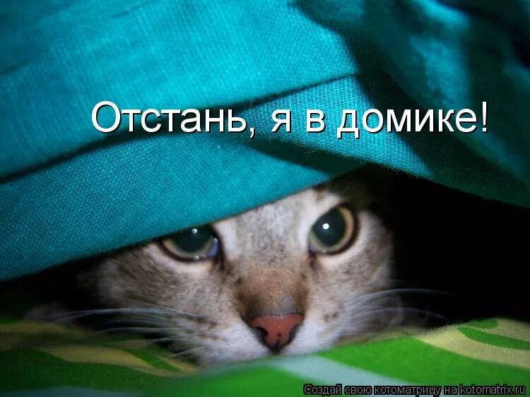 Совсем отстань. Я в домике картинки. отстань. я в домике прикол. отстаньте от меня картинки прикольные.