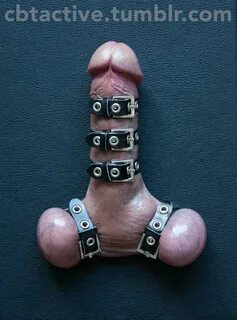 Cock and ball restraints