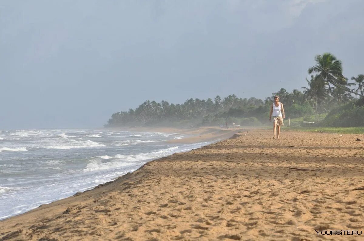 Ваддува Шри Ланка. Пляж Ваддува Шри Ланка. Шниланка Ваддува океан. Blue Beach Wadduwa 3 *** (Ваддува).