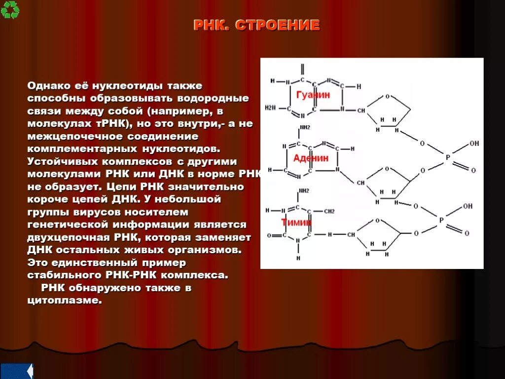 Также они способны. Нуклеотиды РНК образуют водородные связи между собой. Водородные связи между нуклеотидами РНК. Химические связи между нуклеотидами в РНК. Тип связи между нуклеотидами в цепи РНК.