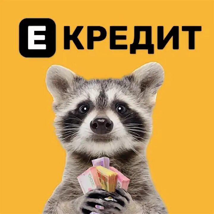 Значок енота какое приложение. Енот кредит отзывы. Moneyveo. Enot платежная система. Енот кредит отзывы.