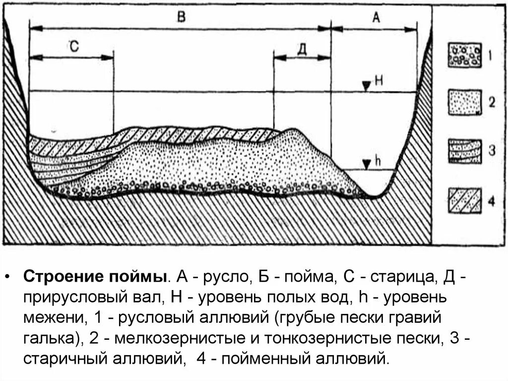 Ширина русла рек. Строение Речной Поймы схема. Структура Речной Поймы. Строение русла реки. Геологическое строение Речной Долины.