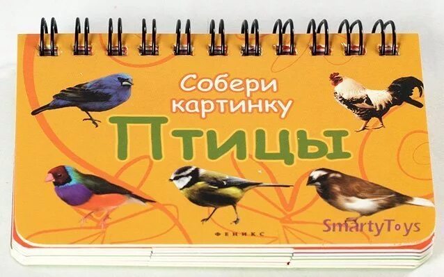 Разрезные пазлы для малышей. Дидактическая игра назови одним словом. Пазлы птицы для детей. Обучающие карточки для малыша. Собери птицу.
