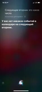 Кто лучше сири или