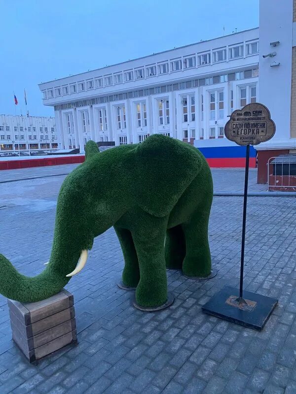 Паб слон и солод Тамбов. Слон Тамбов кафе. Слон на крыше в Пушкине. Слон из яблок в Ставрополе. Слон и солод
