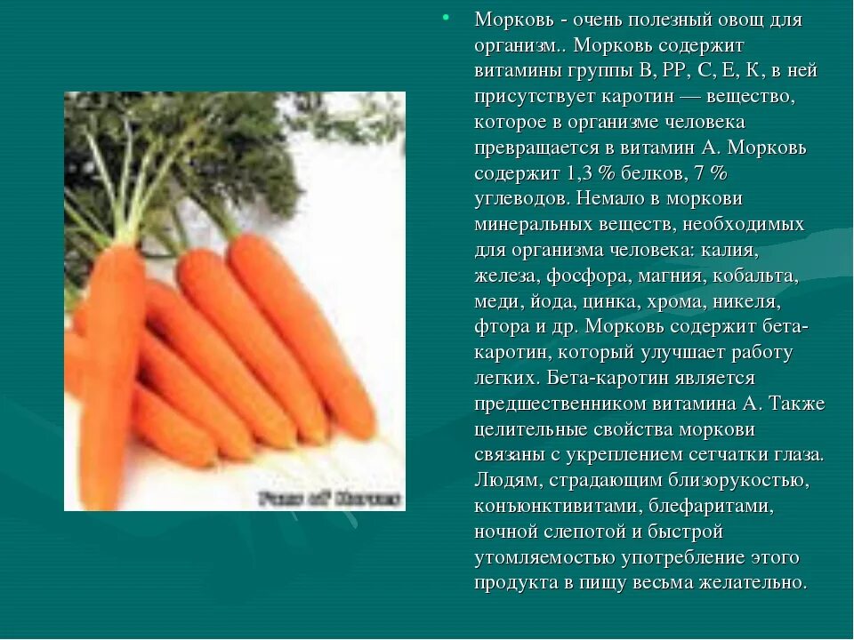 Сколько лет морковь про. Информация о морковке. Доклад про морковь. Культурное растение морковь. Проект на тему морковь.